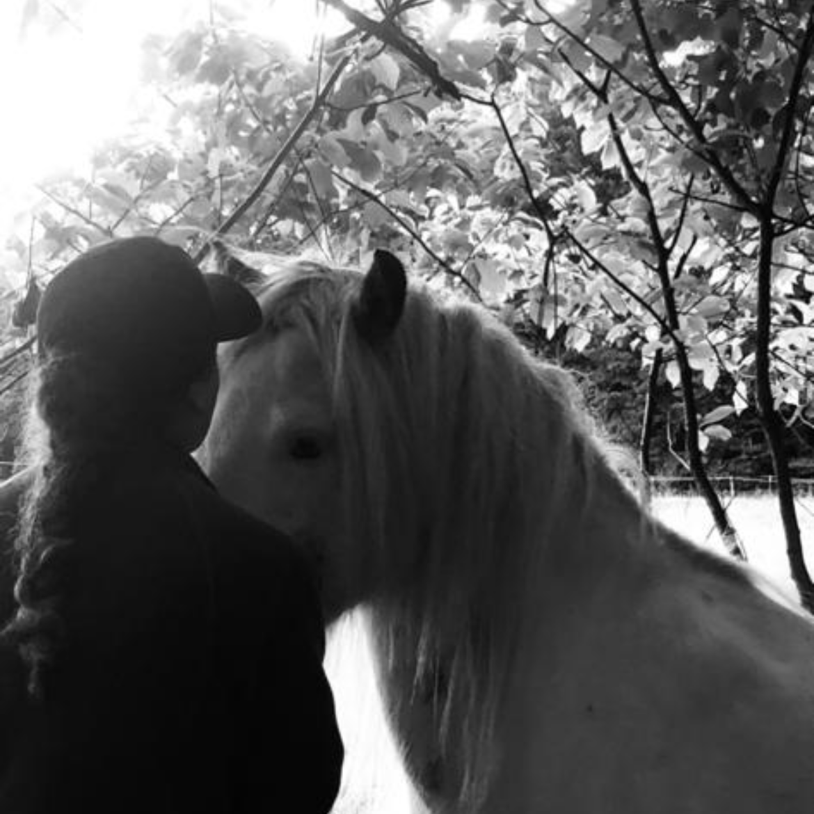 Kuscheln bei der Reittherapie Foto einer Frau mit einem Pferd